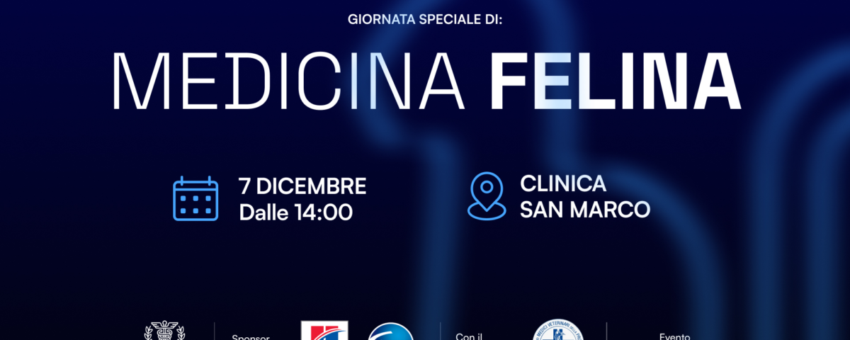 medicina felina evento 7 dicembre