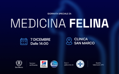 medicina felina evento 7 dicembre