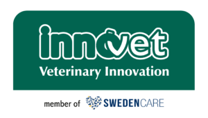 innovet sponsor lunch meeting jam session clinica veterinaria e laboratorio san marco